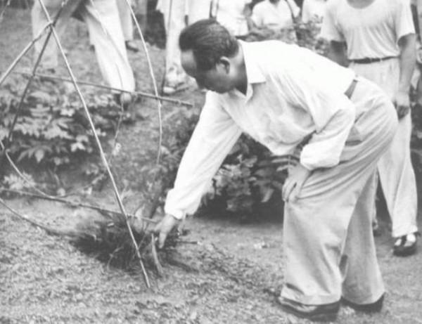 毛主席去世前寫信給政府：請幫我照顧九弟一點，我實在是年老了