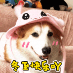 夢幻西遊網頁版本週更新：五行鬥法再次開啟！祝少俠們冬至快樂