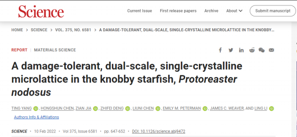 華人學者研究登Science封面：發現前所未見的&OpenCurlyDoubleQuote;瘋狂&rdquo;結構