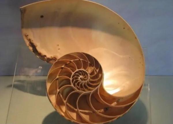 月球真的會“離開”地球嗎？