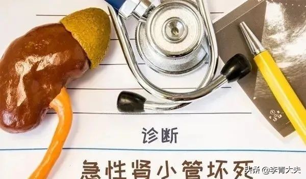 一文讀懂：怎樣恢復腎功能？