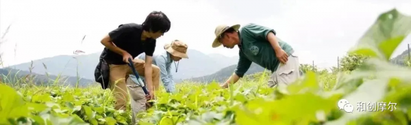 她經濟+鄉村旅遊：200畝女性主題農場，打造出沉浸式創意旅遊
