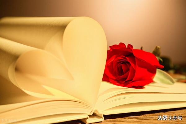 高三媽媽陪讀故事——兒子的愛心是我的暖心