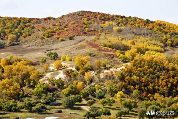 中秋佳節去哪裡,賞秋勝地,濃墨重彩的烏蘭布統秋景 中秋佳節去哪裡,賞秋勝地,濃墨重彩的烏蘭布統秋景