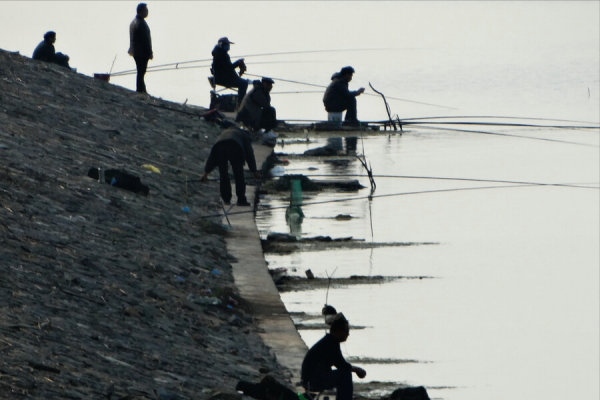 釣魚“被打閉口”，就束手無策？提醒：記住這5點就能反敗為勝