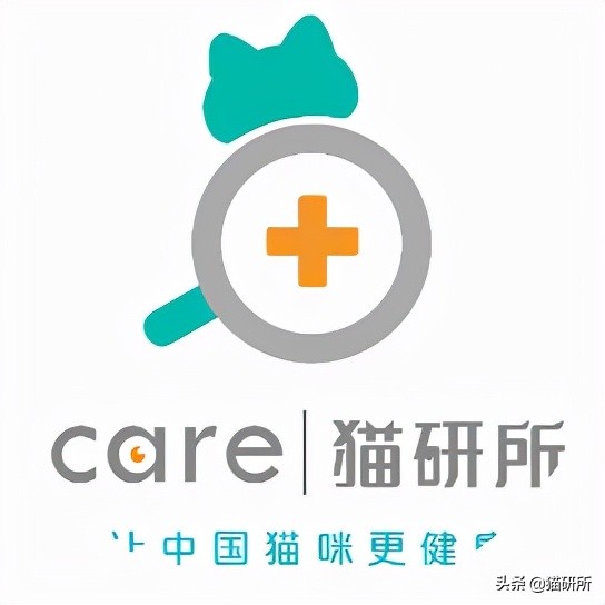 貓咪“鬥雞眼”是咋回事,會影響正常生活嗎? 貓咪“鬥雞眼”是咋回事,會影響正常生活嗎?