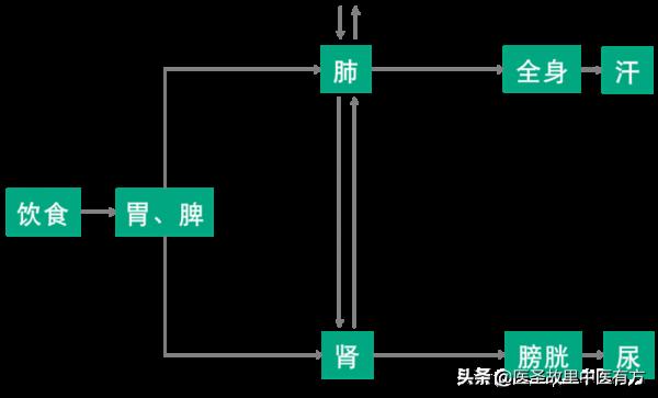 身體反反覆覆出毛病，檢查卻總是沒問題？很可能是你三焦堵了
