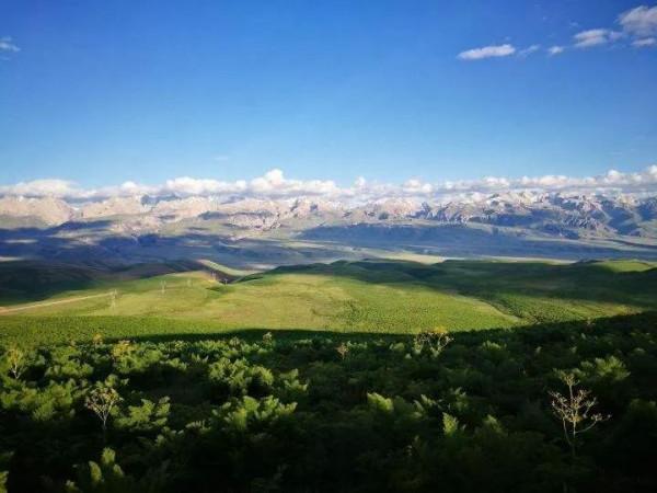 阿拉伯帝國之進軍中亞