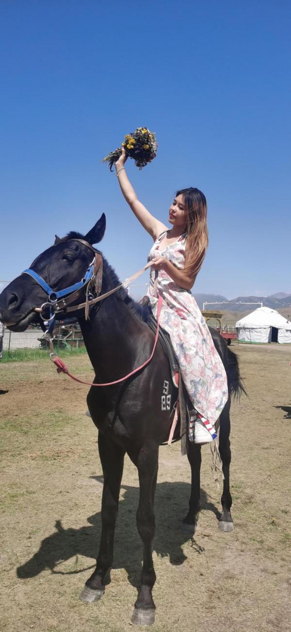 66位勇士,25輛車,96天史詩般的人生旅途,35000公里的偉大行程 66位勇士,25輛車,96天史詩般的人生旅途,35000公里的偉大行程