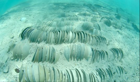 5大艘宋代沉船，600年絲路繁榮，見證外國人對宋瓷的趨之若鶩