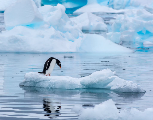 燃氣灶即將走到盡頭，電火灶將打破傳統燃氣市場