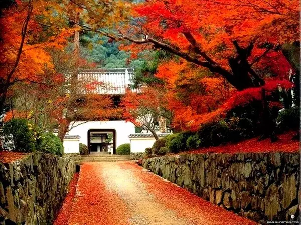 祖國最美的150座秀美名山