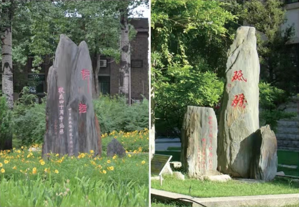 校園守望者(東區篇) 校園守望者(東區篇)