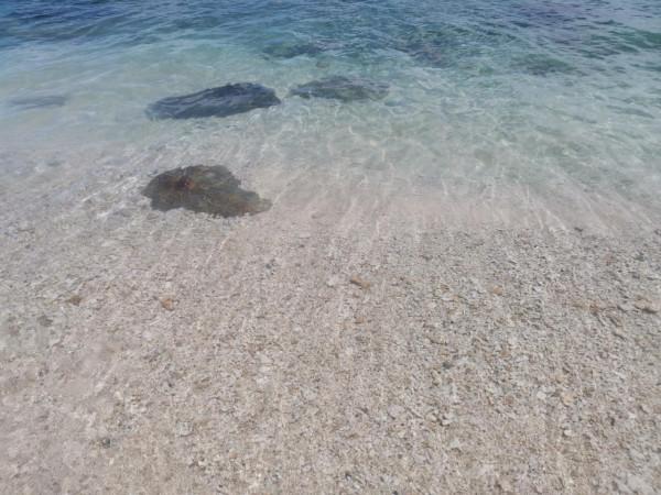 海南自駕遊 DAY 3 海南自駕遊 DAY 3