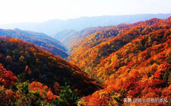 中國最美的10個紅葉景區,每一個都美到極致,你去過幾個? 中國最美的10個紅葉景區,每一個都美到極致,你去過幾個?