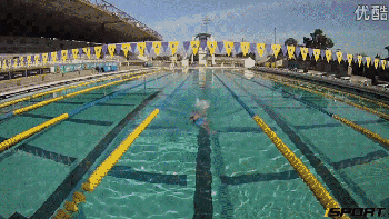 爬泳與仰泳前滾翻轉身的兩個動作要領和五個練習方法