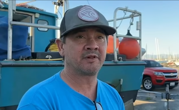 真事！男子獨自一人意外墜海，快喪命時一頭海豹竟跑來推著他遊&hellip;