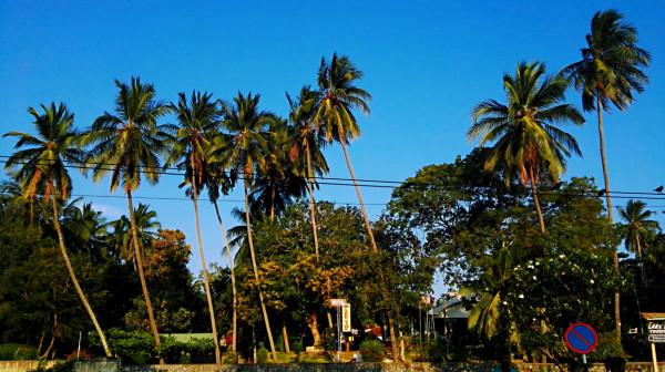 斯里蘭卡之旅(17)蒂瑟默哈拉默 斯里蘭卡之旅(17)蒂瑟默哈拉默