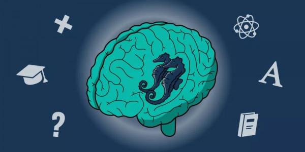 4個身體部位關乎孩子的“學習力”，家長再生氣也不能揍，忍著點