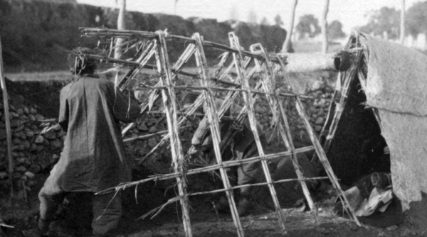 毛澤東與中國式防疫，今天的“結果”，是當年他老人家的苦心