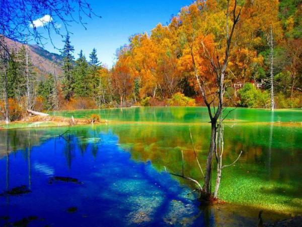 分享~九寨溝 碧水藍天 天然唯美