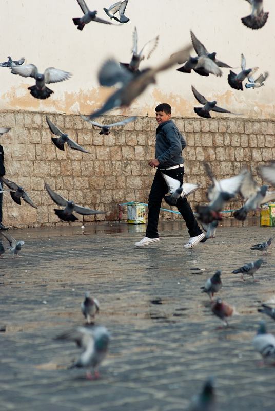 我向往的城市之大馬士革----地上的天堂