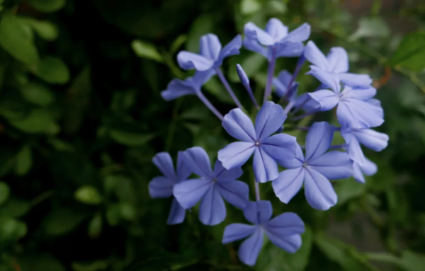 冬天進補，我們到底要補什麼？