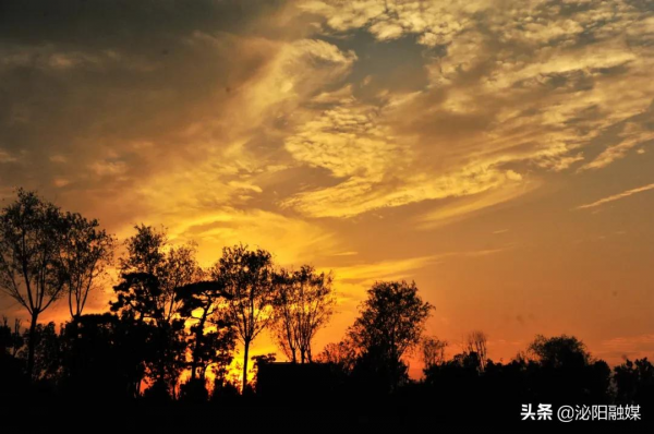 不可思議！已是深秋，月兒灣公園卻如此多彩，恰似夏日還未走遠