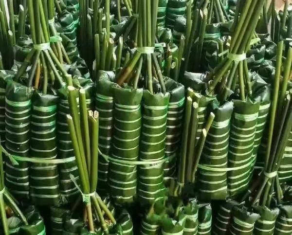 雲南16個州市的特色美食榜單，全是&OpenCurlyDoubleQuote;山珍&rdquo;，都吃過的人很少