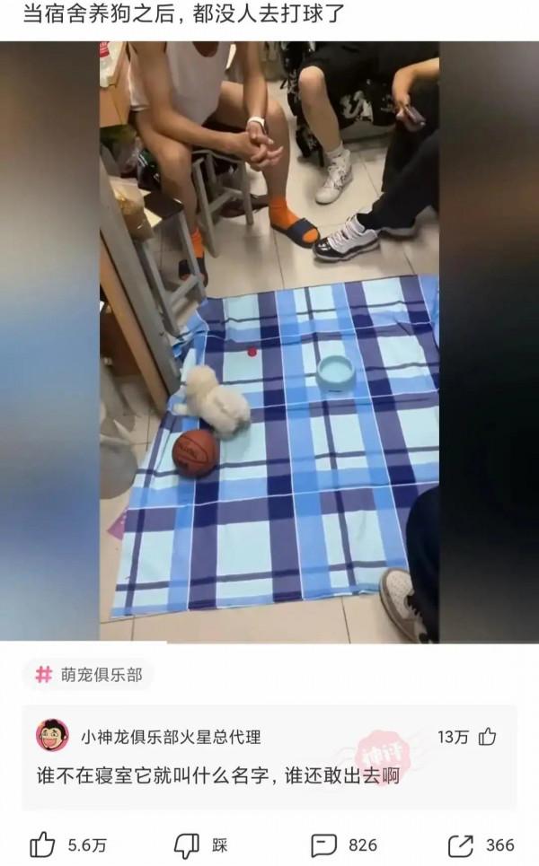 這孩子真可憐，還沒出生政審就過不了！網友：太難了