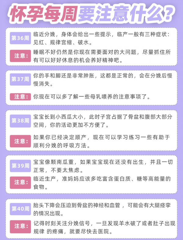 懷孕後1～40周的胎兒情況、身體變化和注意事項，孕媽對照自查