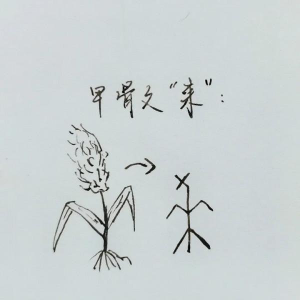 河西走廊，如何成為擊敗旱魔的鬥士？