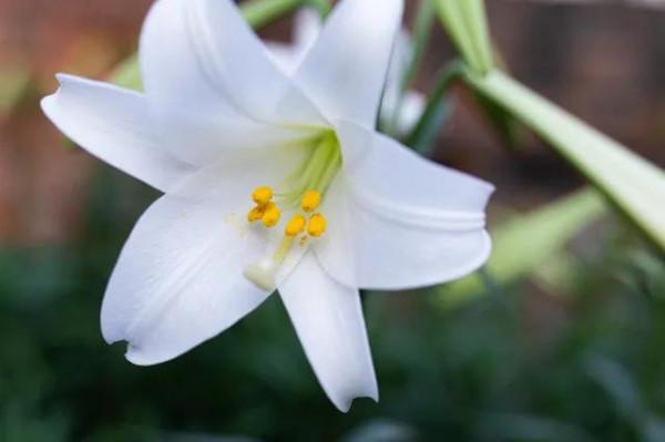 銘記歷史，珍愛和平