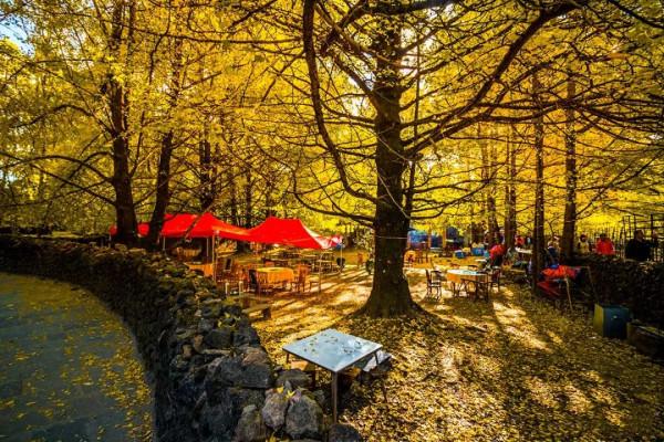 中國秋色正在上演!這9條自駕線,帶你領略不一樣的秋色 中國秋色正在上演!這9條自駕線,帶你領略不一樣的秋色