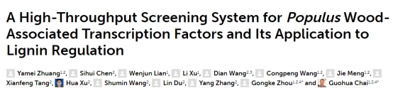 楊樹木材相關轉錄因子高通量篩選系統及其在木質素調控中的應用 楊樹木材相關轉錄因子高通量篩選系統及其在木質素調控中的應用