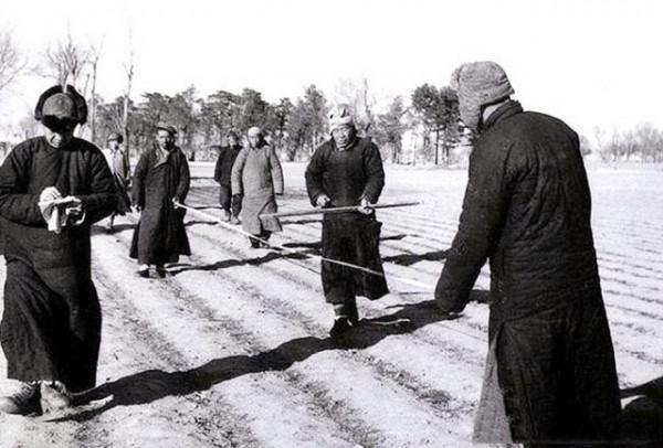 大地主劉文彩後人如今在哪?學者多,經商的少,孫子被活活勒死 大地主劉文彩後人如今在哪?學者多,經商的少,孫子被活活勒死