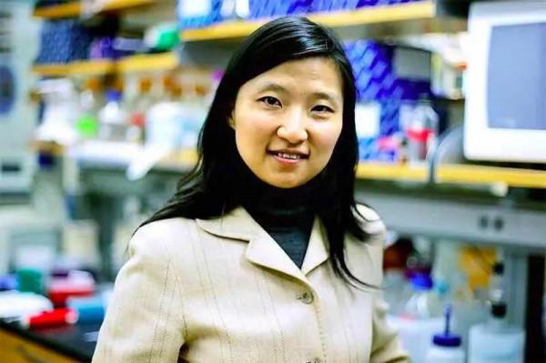 神童莊小威,15歲被中科大錄取,留學深造加入美國國籍,現狀如何 神童莊小威,15歲被中科大錄取,留學深造加入美國國籍,現狀如何