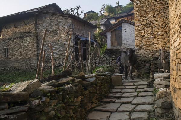 孫犁散文:老 家 孫犁散文:老 家