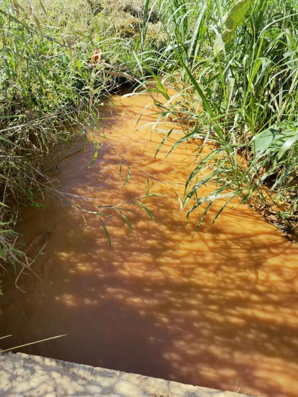 彌勒市竹園,一個美麗的地方 彌勒市竹園,一個美麗的地方
