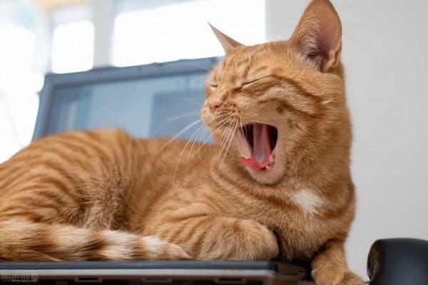 聯想Thinkpad筆記本使用心得