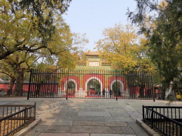 北京，植物園的秋天（秋景）