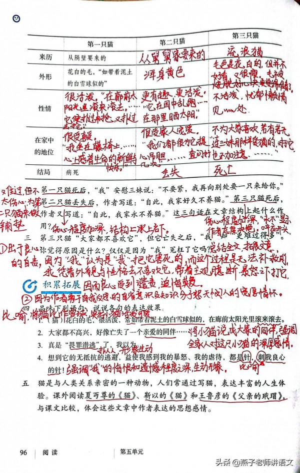 七上《貓》手寫筆記、仿寫與綜合性運用、拓展積累