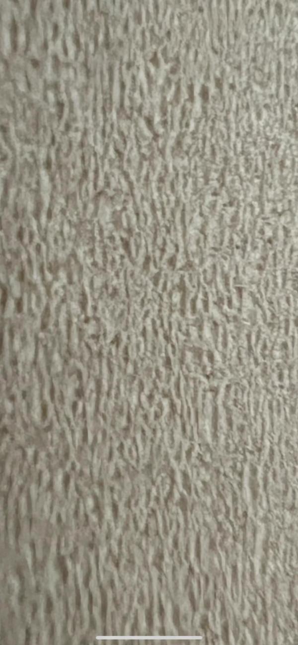 iPhone 13 pro max 微距拍攝能力有多強