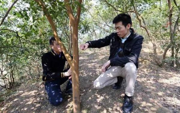 耶魯畢業後拒絕百萬年薪，回國拿1450工資的秦玥飛，後來怎樣了？