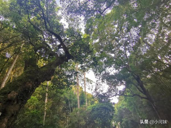 廣東粵北有座道觀，全國唯一一處以“福”字命名，其景觀更是一絕