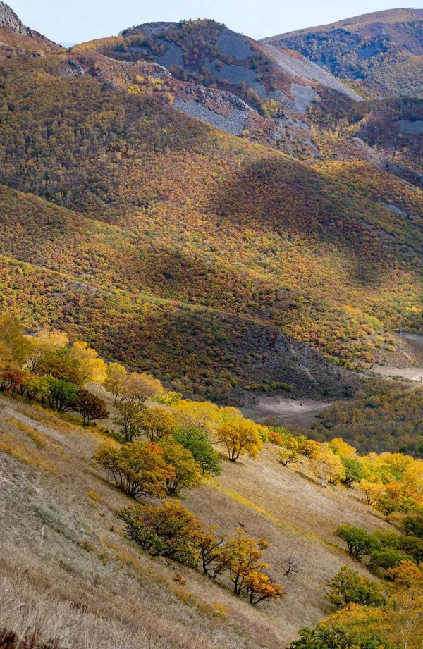 層林盡染的黃崗梁,許你一個秋天的童話 層林盡染的黃崗梁,許你一個秋天的童話