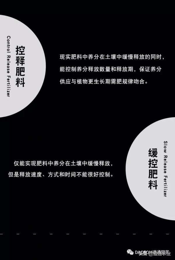 楓樹養護必備丨DAOTOM家庭園藝顆粒控釋肥楓樹專用型 楓樹養護必備丨DAOTOM家庭園藝顆粒控釋肥楓樹專用型