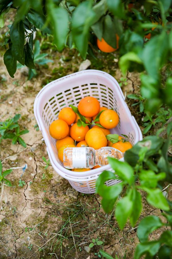 喜來登啟動“連線 心之嚮往”品牌系列推廣活動,展現品牌煥新設計元素和服務體驗 喜來登啟動“連線 心之嚮往”品牌系列推廣活動,展現品牌煥新設計元素和服務體驗