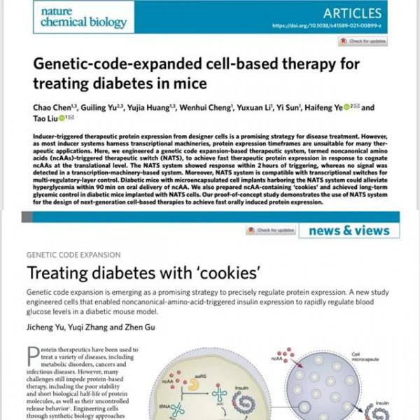 吃餅乾治糖尿病？新研究讓口服胰島素成為可能