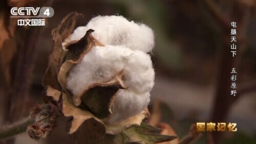 新疆從哪裡來?請記得這些開天闢地的人 新疆從哪裡來?請記得這些開天闢地的人